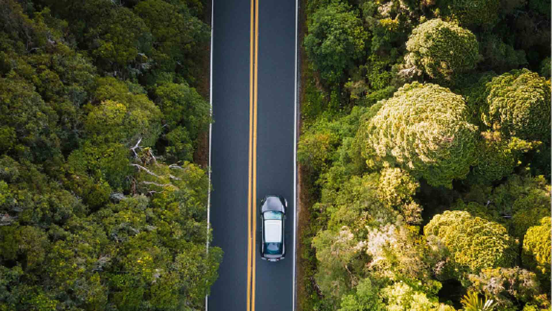 Drone shot of a car driving through forests